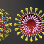 coronavirus-structure1-1-21-20-696x329